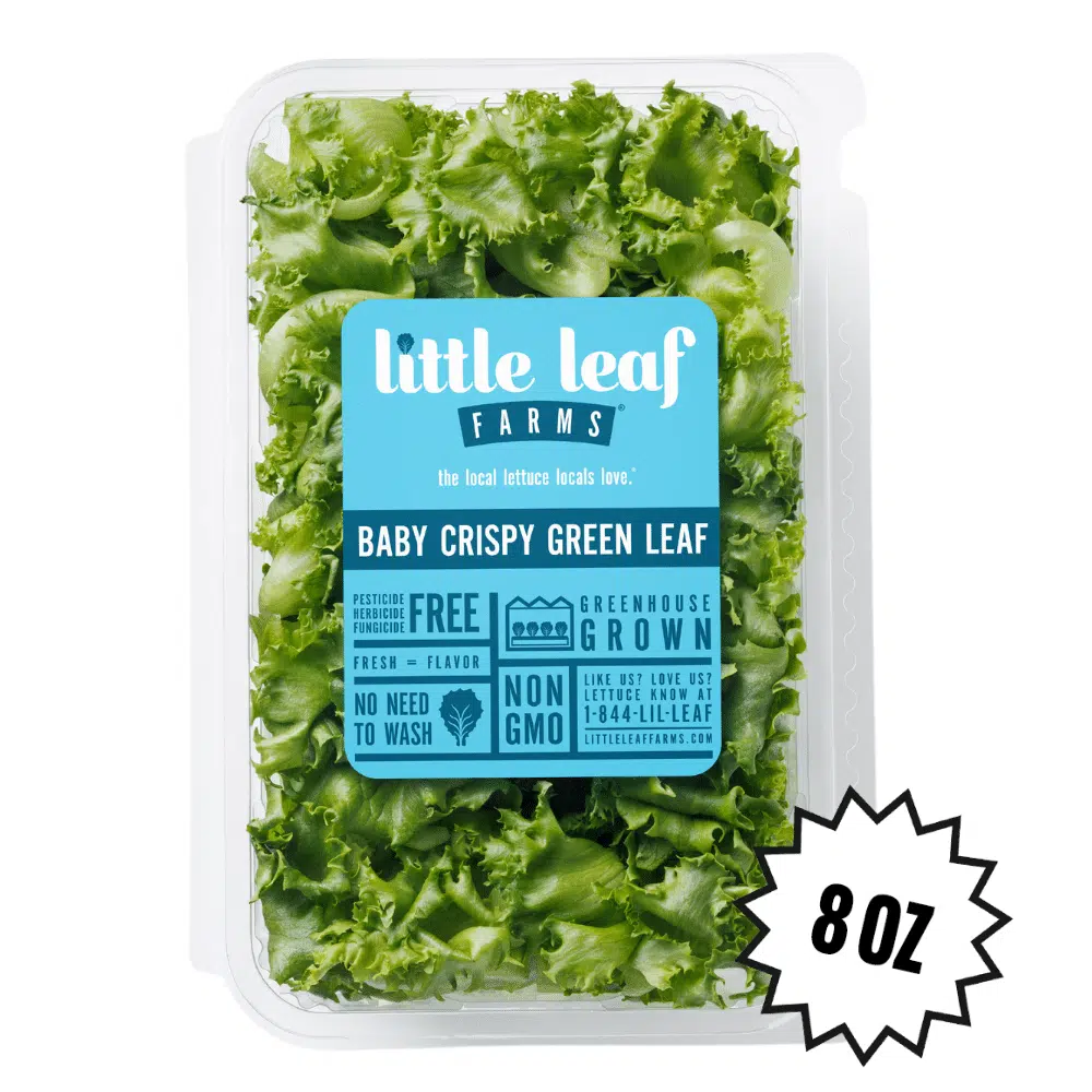 Baby Crispy Green Leaf - Image 4