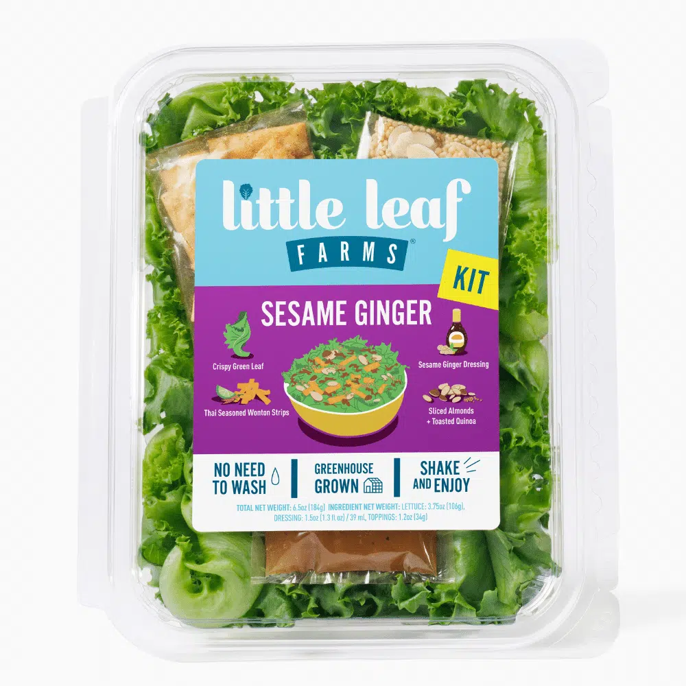 Sesame Ginger Salad Kit