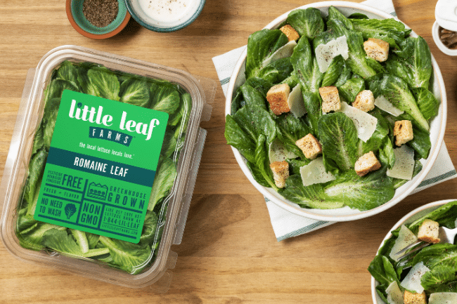Classic Caesar Salad
