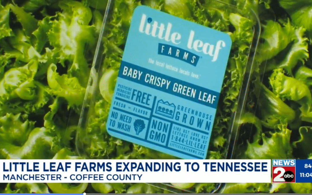 Lettuce Farm Bringing 300+ Jobs to Coffee County (WKRN)