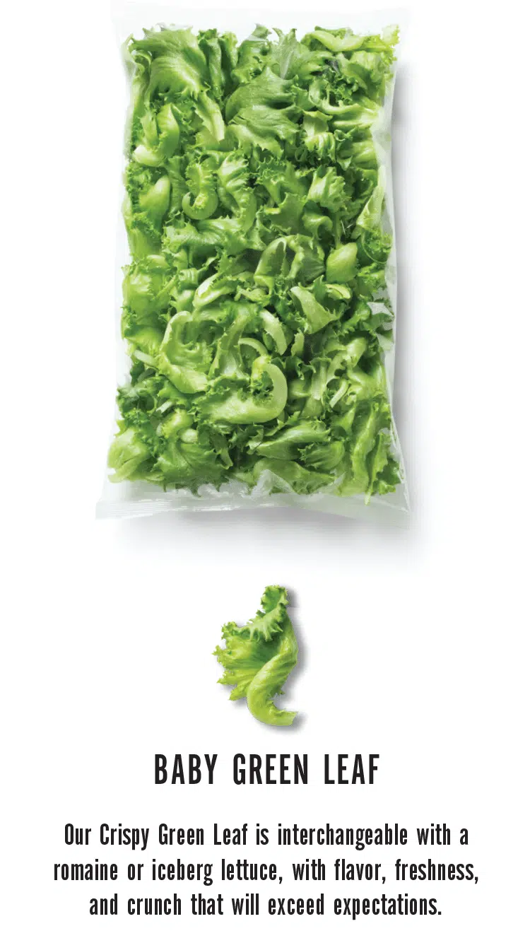 Is It Salad?