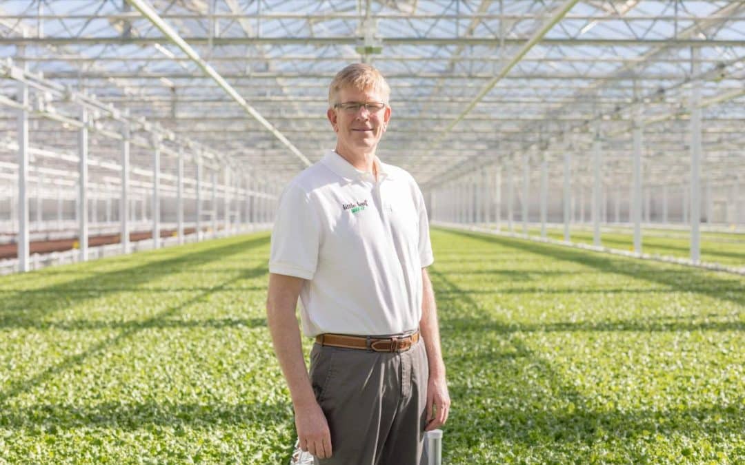 Little Leaf Farms&rsquo; CEO on Building an Indoor Ag Business: &lsquo;Any logical approach to growing a plant would include the sun&rsquo; (AgFunder)