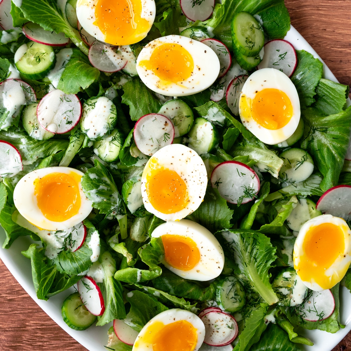Herby Egg and Cucumber Salad-3 square