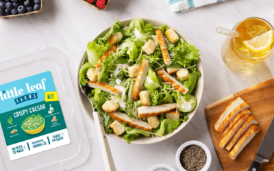 Crispy Caesar Salad Kit with Grilled Chicken