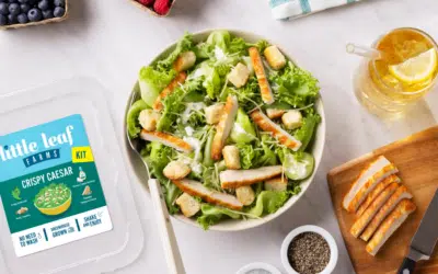 Crispy Caesar Salad Kit with Grilled Chicken