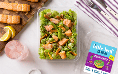 Sesame Ginger Salad Kit with Salmon