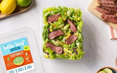 Southwest Salad Kit with Chili Lime Grilled Steak